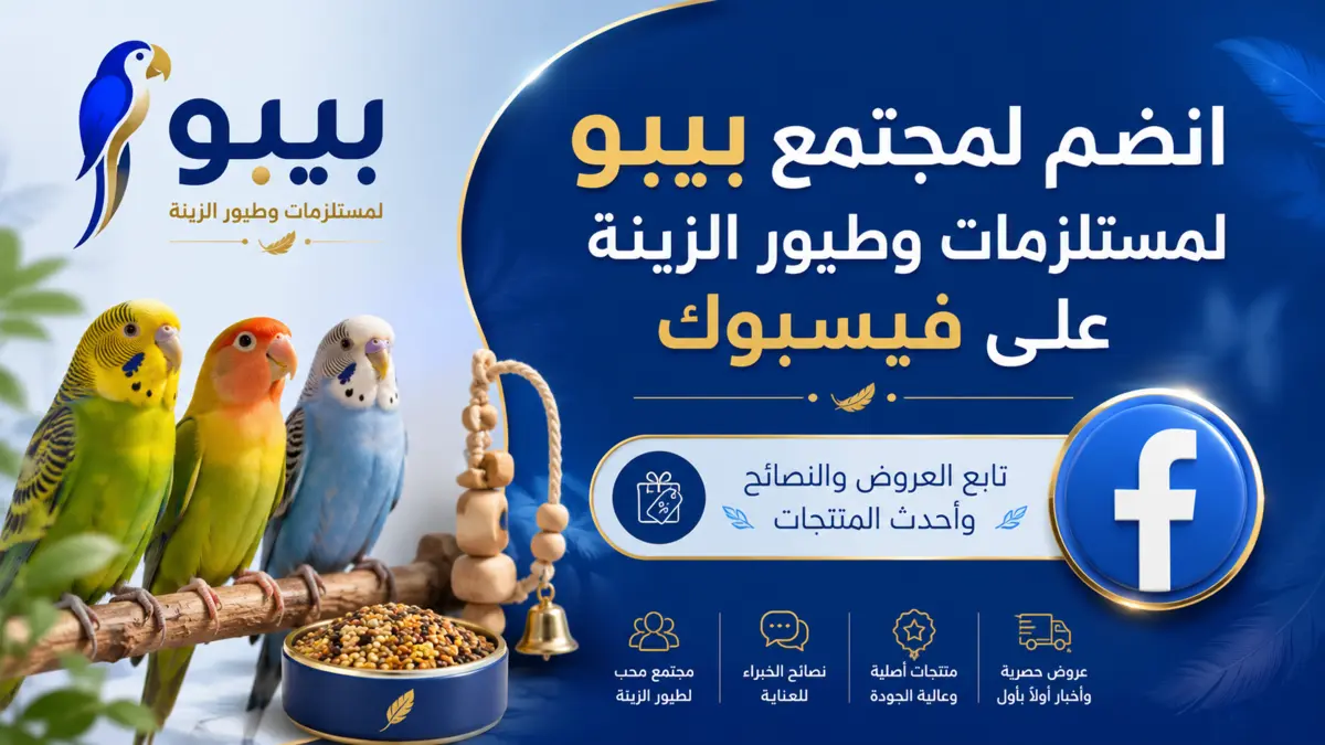 انضم لبيبو على الفيسبوك